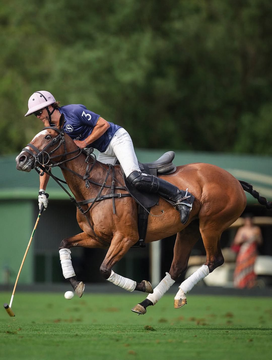 Polo detail